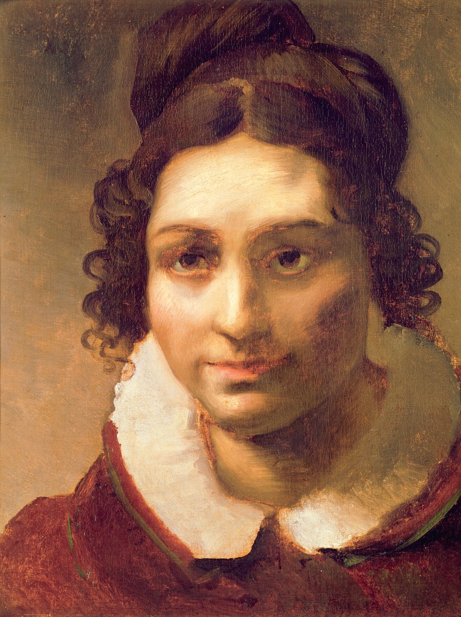Suzanne o Ritratto presunto di Alexandrine-Modeste Caruel de Saint-Martin, zia dell