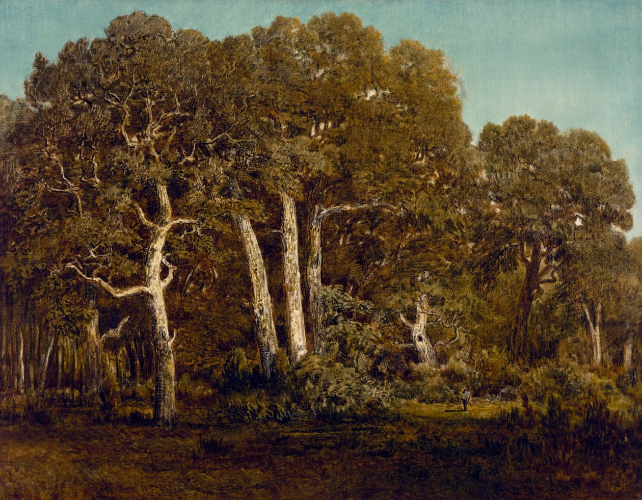 Le grandi querce del vecchio Bas-Breau, 1864 da Pierre Etienne Theodore Rousseau