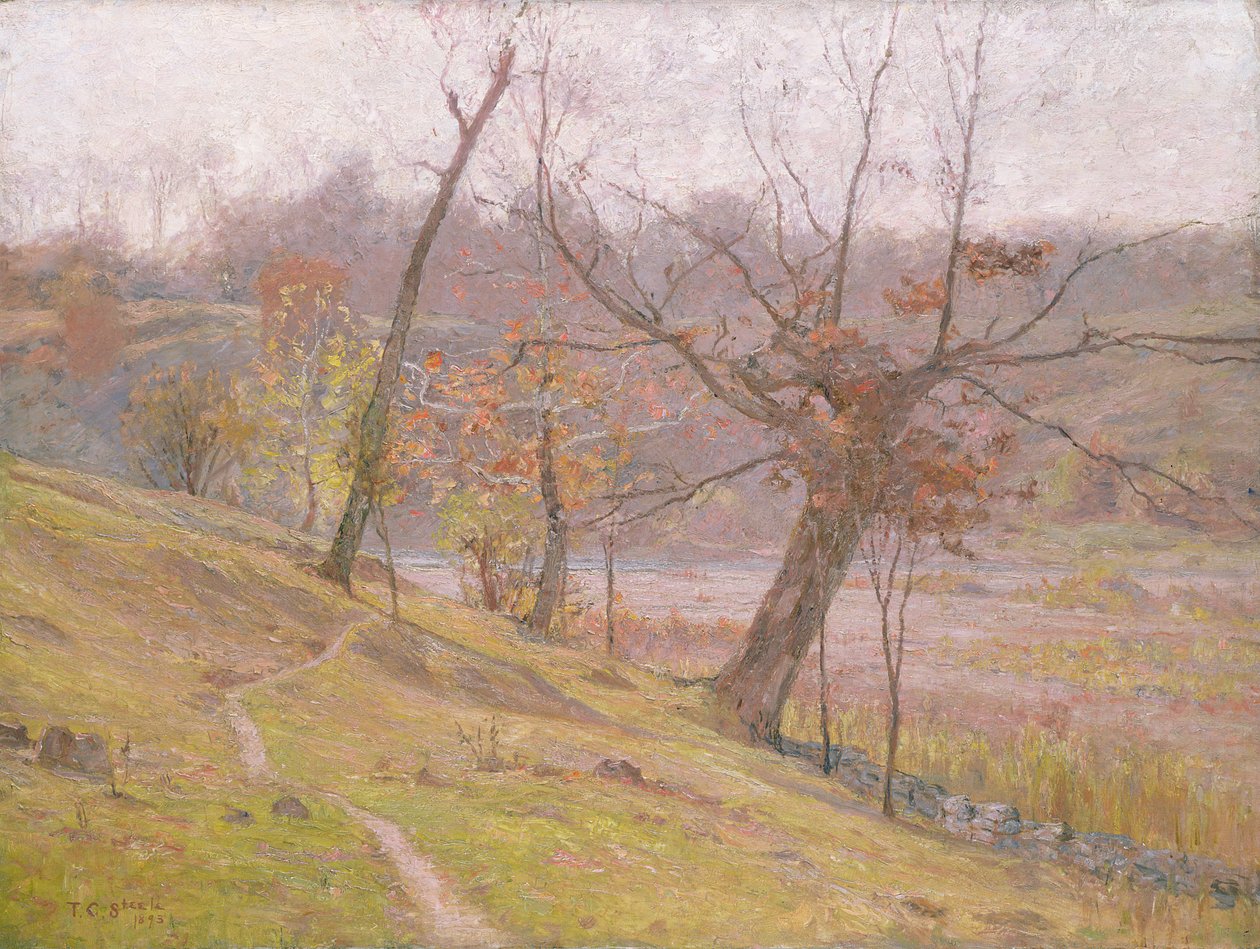 La fioritura dell