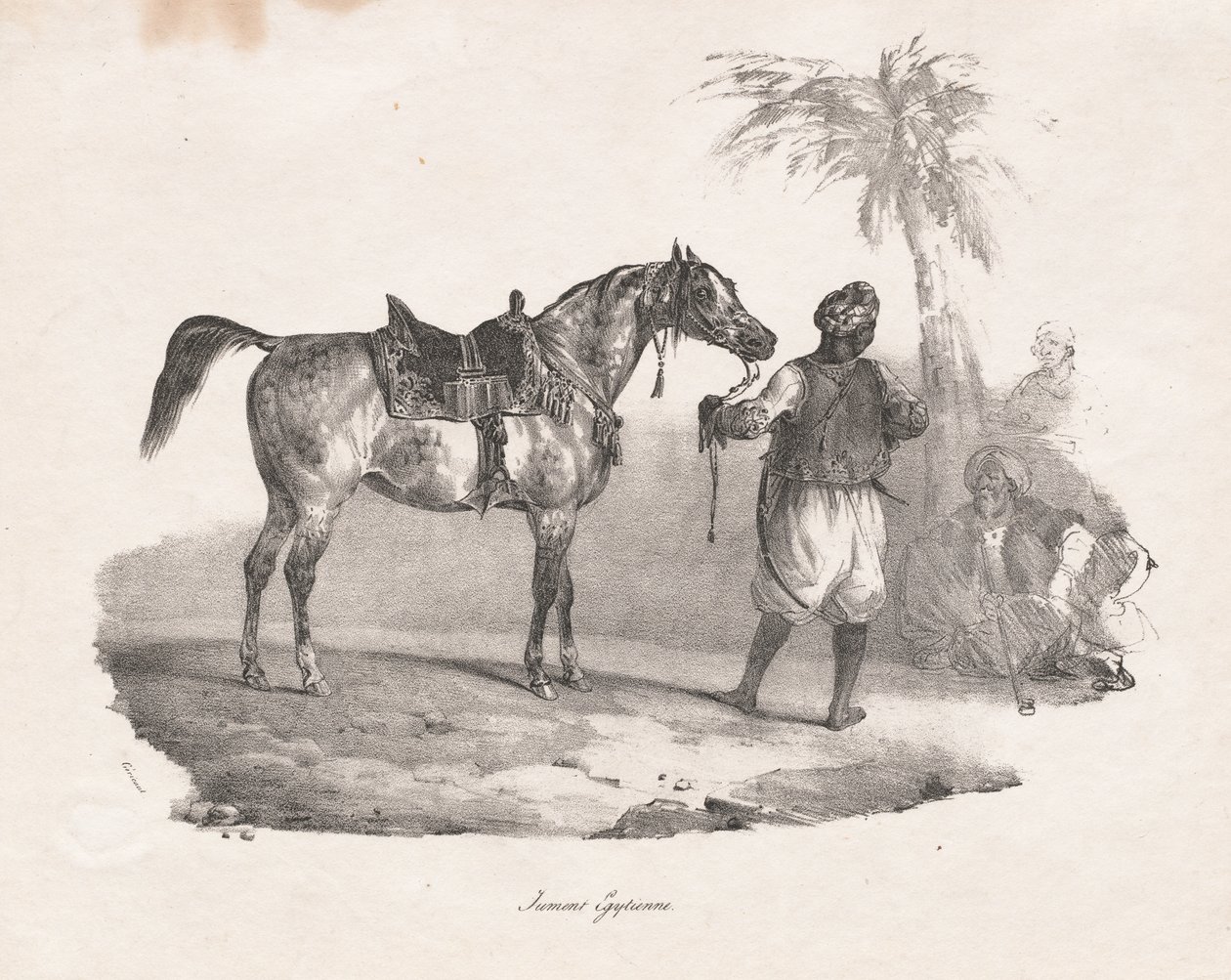 Cavalla egiziana da Theodore Gericault