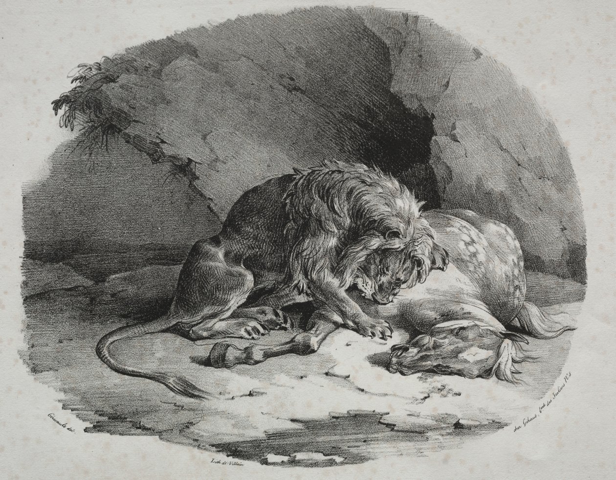 Cavallo divorato da un leone da Theodore Gericault