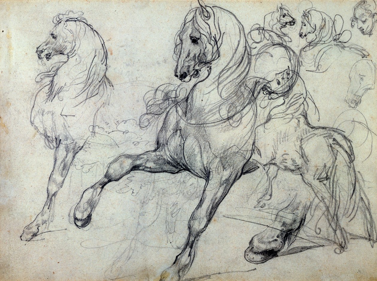 Cavalli da Theodore Gericault