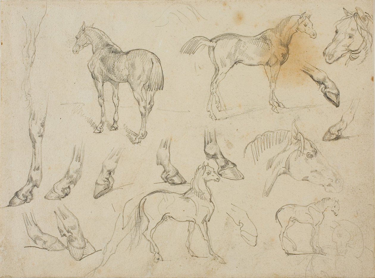 Schizzi di un cavallo da Theodore Gericault