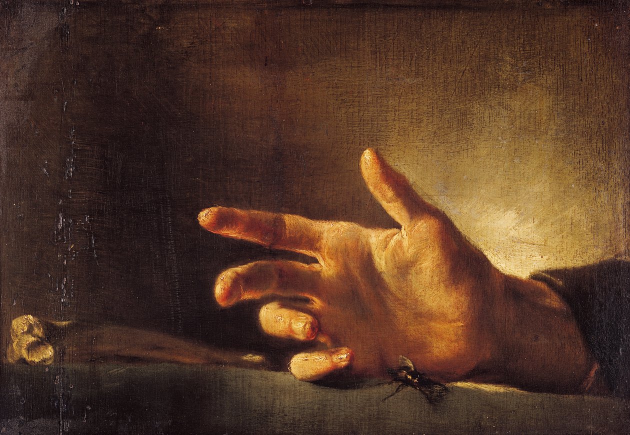 Studio di una Mano da Theodore Gericault