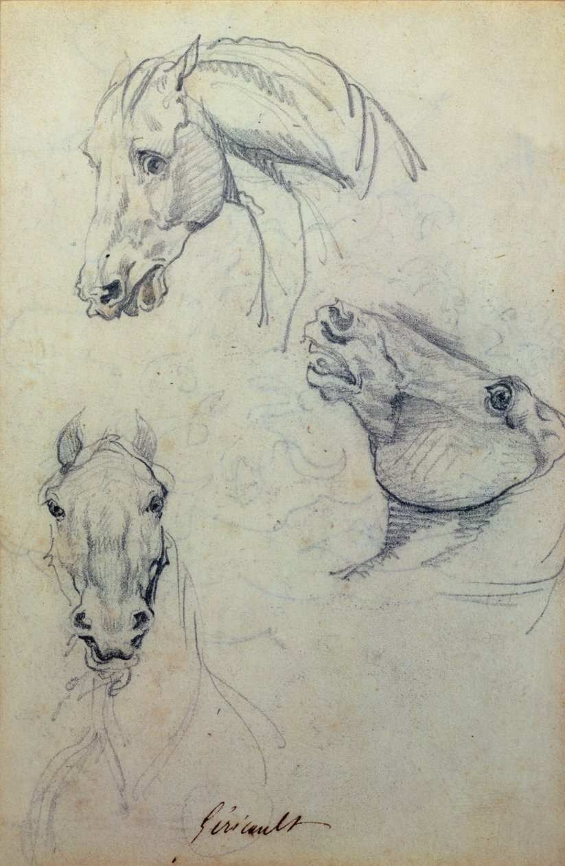 Tre teste di cavallo da Theodore Gericault