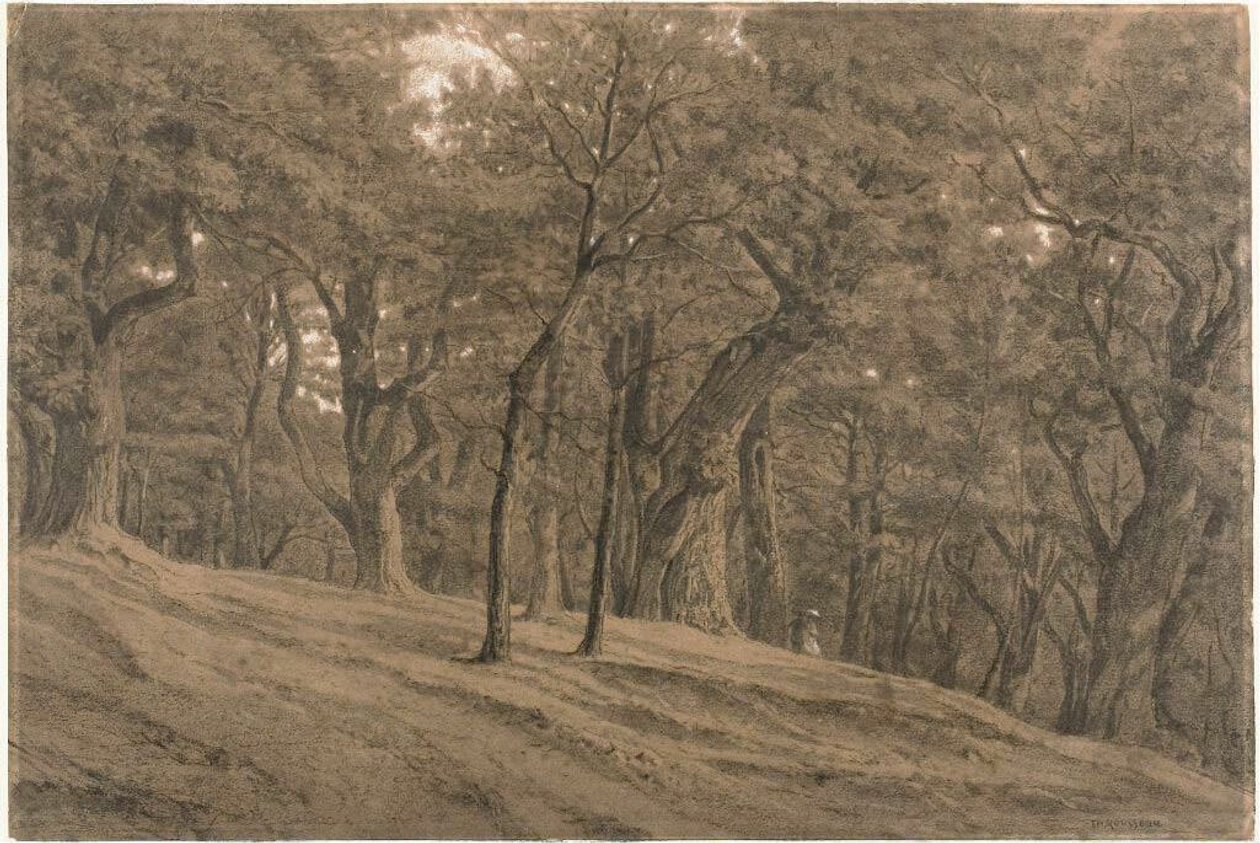 Nella foresta di Fontainbleau da Theodore Rousseau