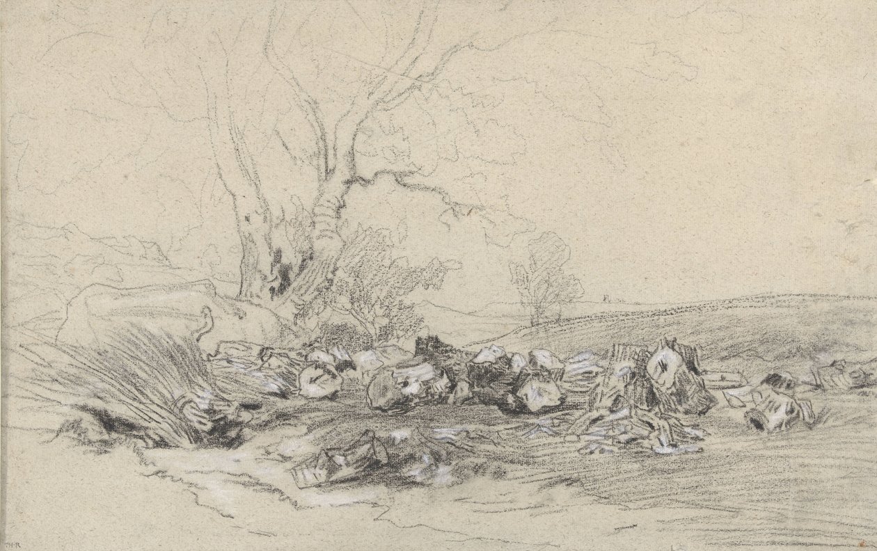 Alberi abbattuti da Theodore Rousseau