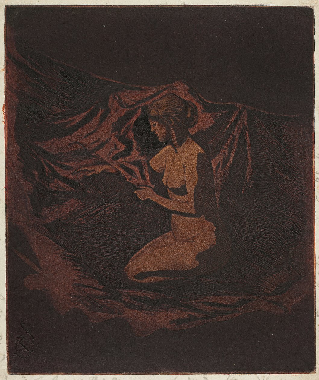 Bagliore delle braci da Theodore Roussel