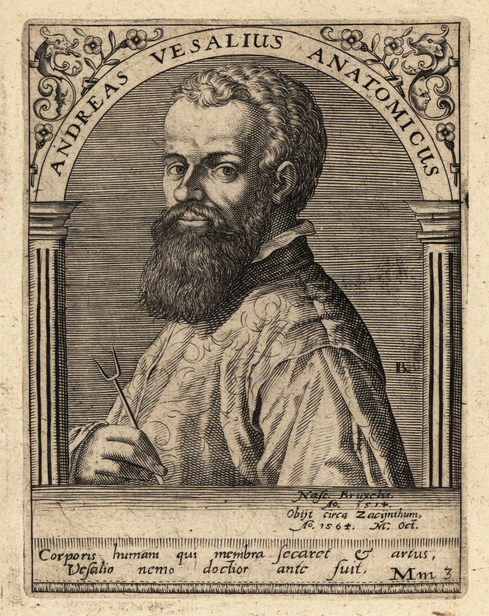 Andreas Vesalius, medico e anatomista fiammingo da Theodore de Bry