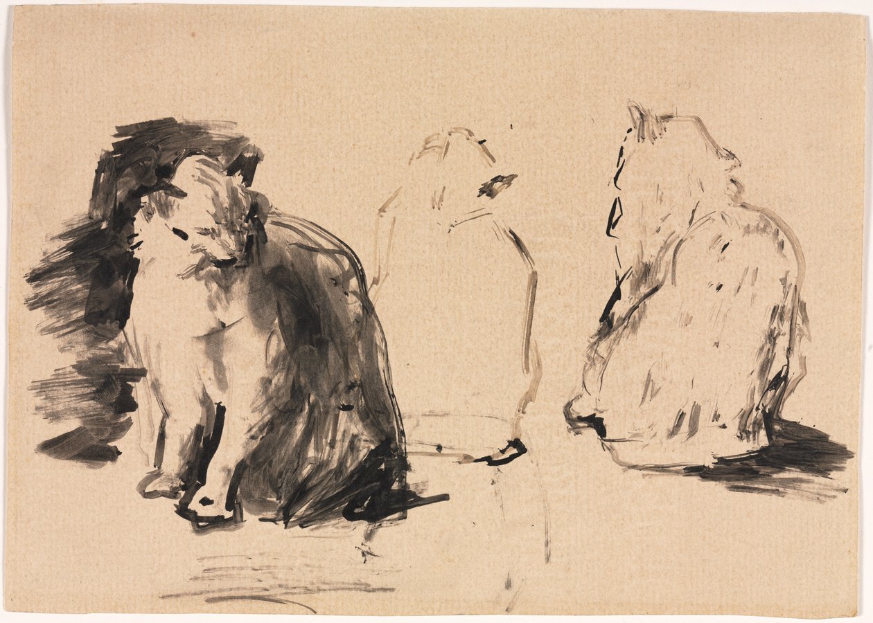 Gatti (recto) da Theodule Ribot