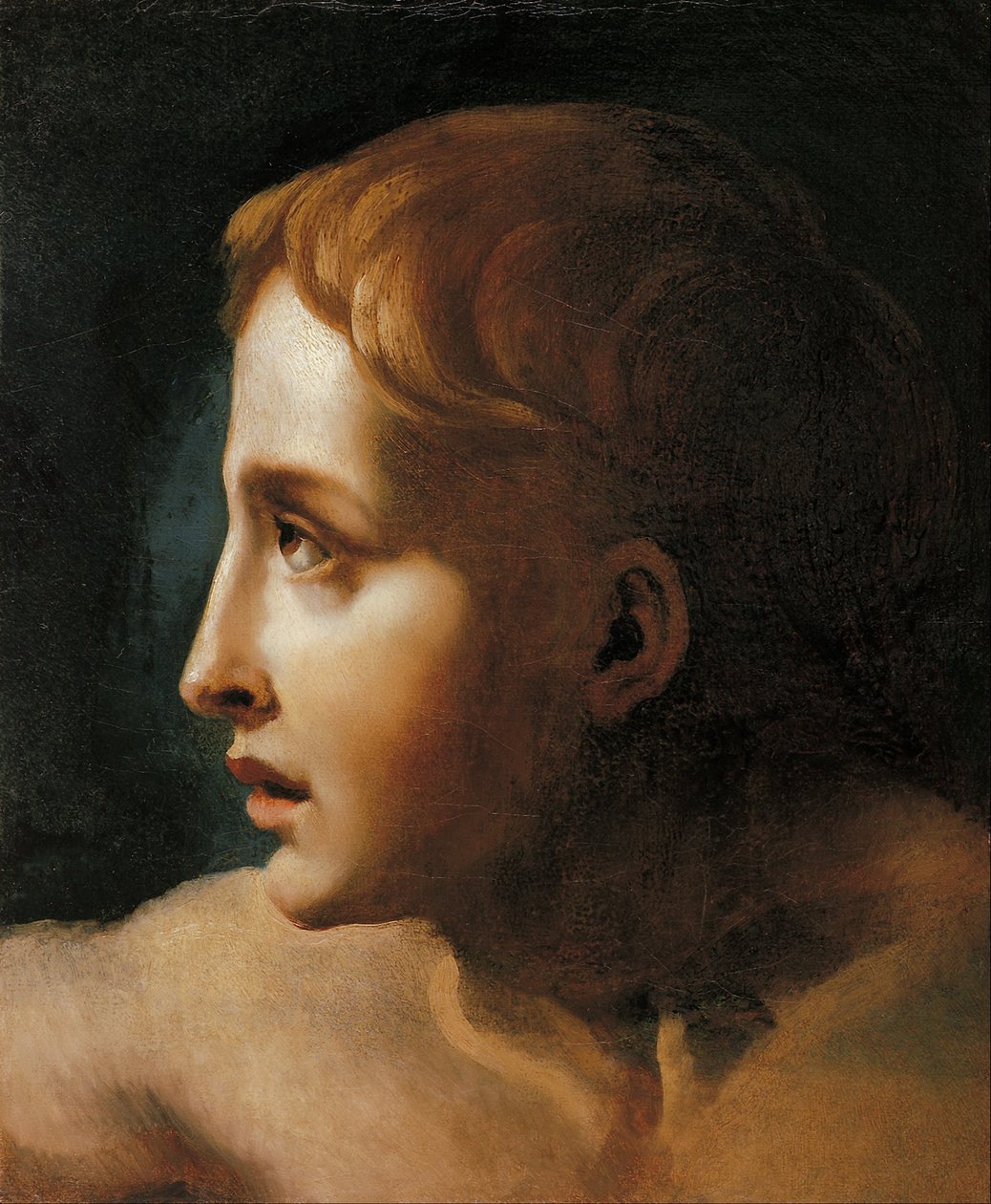 Testa di un giovane da Theodore Gericault