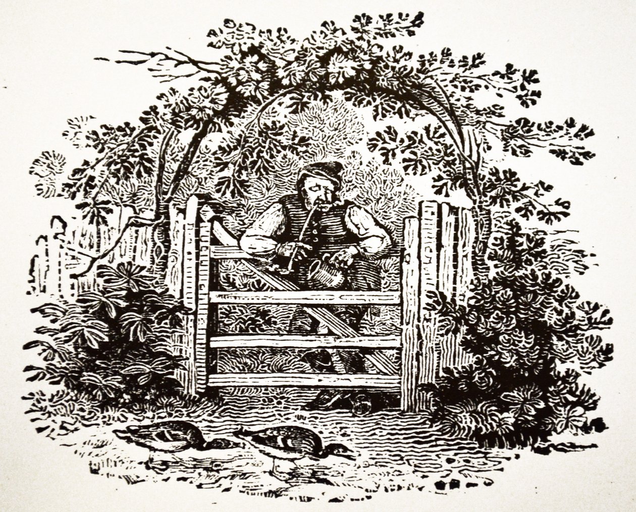 Contadino che fuma una pipa Churchwarden, 1804 da Thomas Bewick
