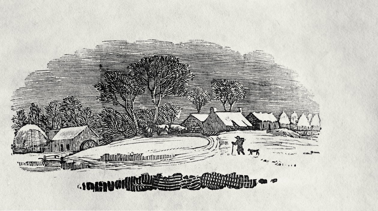 Finale, fine XVIII o inizio XIX secolo da Thomas Bewick