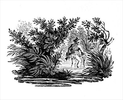 Attraversando il fiume, da Uccelli terrestri, c. 1797 (incisione su legno) da Thomas Bewick