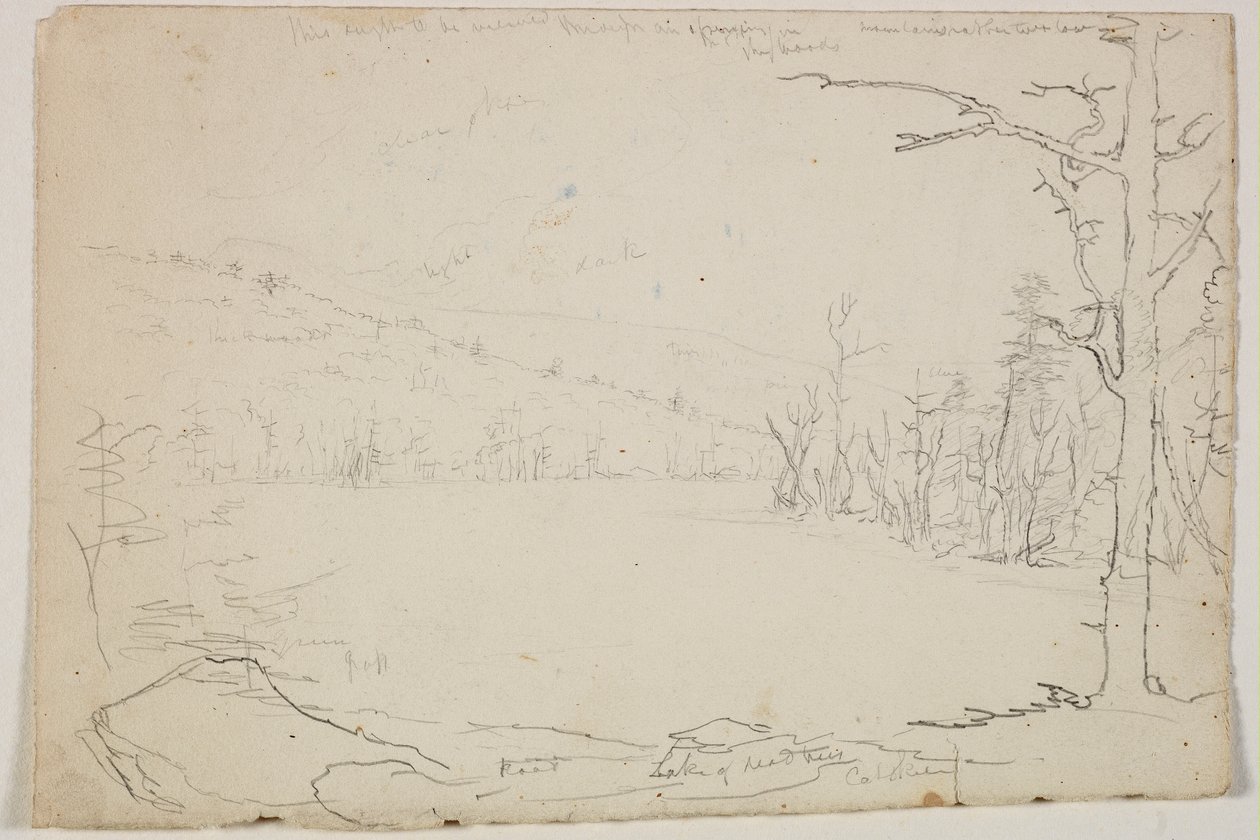 Lago degli alberi morti, Catskill, 1825 da Thomas Cole