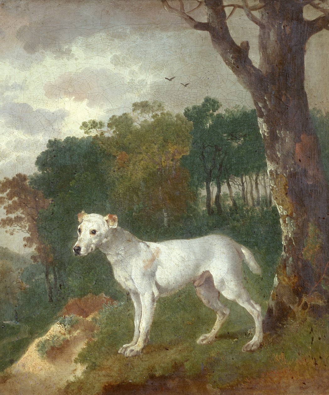 Bumper, un Bull Terrier, 1745 da Thomas Gainsborough