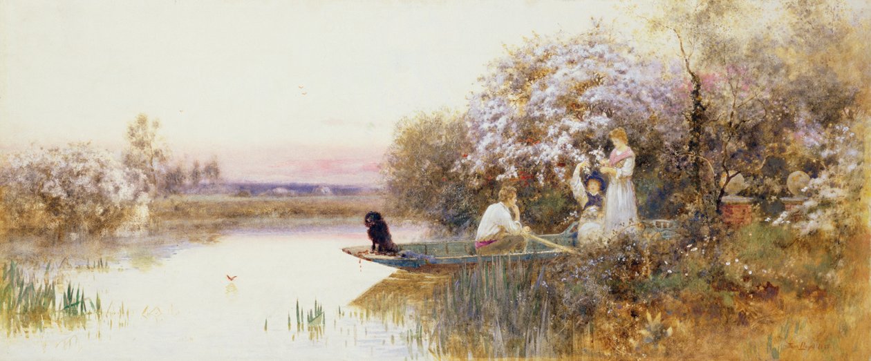 Raccolta di fiori. 1895 da Thomas James Lloyd