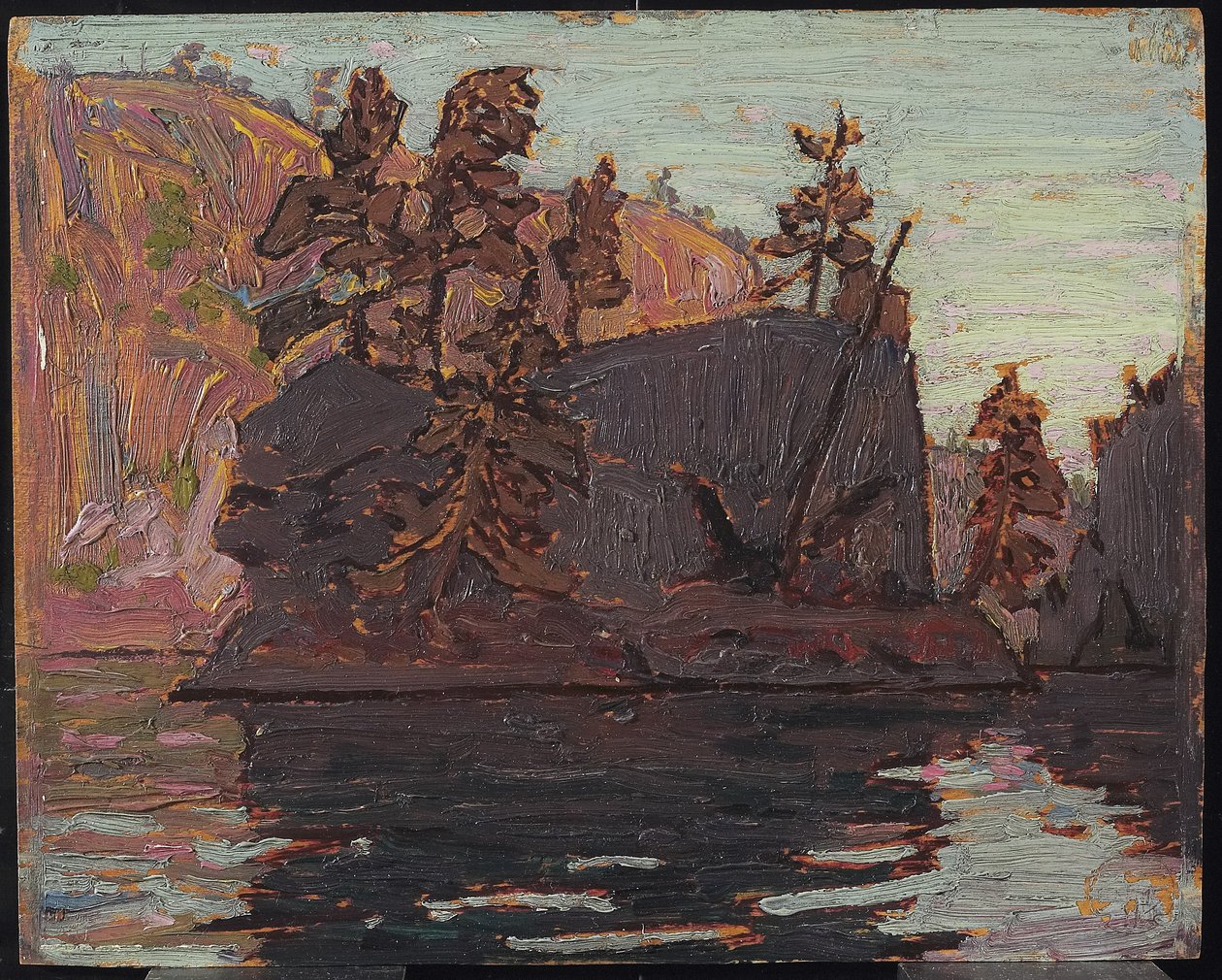 Gole di Petawawa, 1916 da Tom Thomson