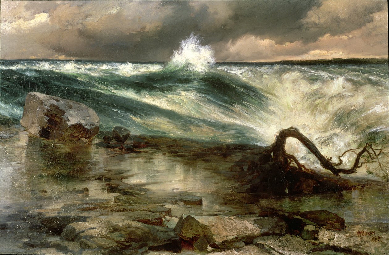 Le rapide sopra Niagara da Thomas Moran