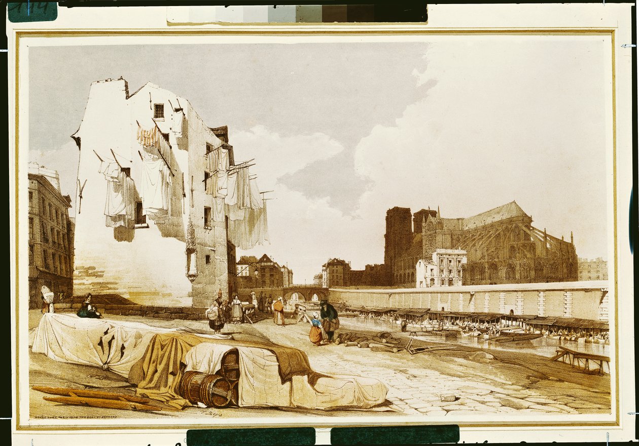 Notre Dame dal Quai St. Bernard da Thomas Shotter Boys