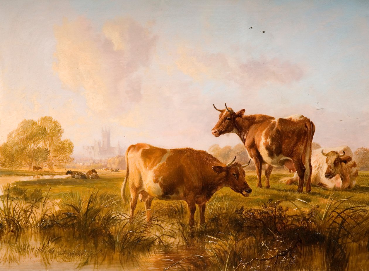 Nei prati di Canterbury da Thomas Sidney Cooper
