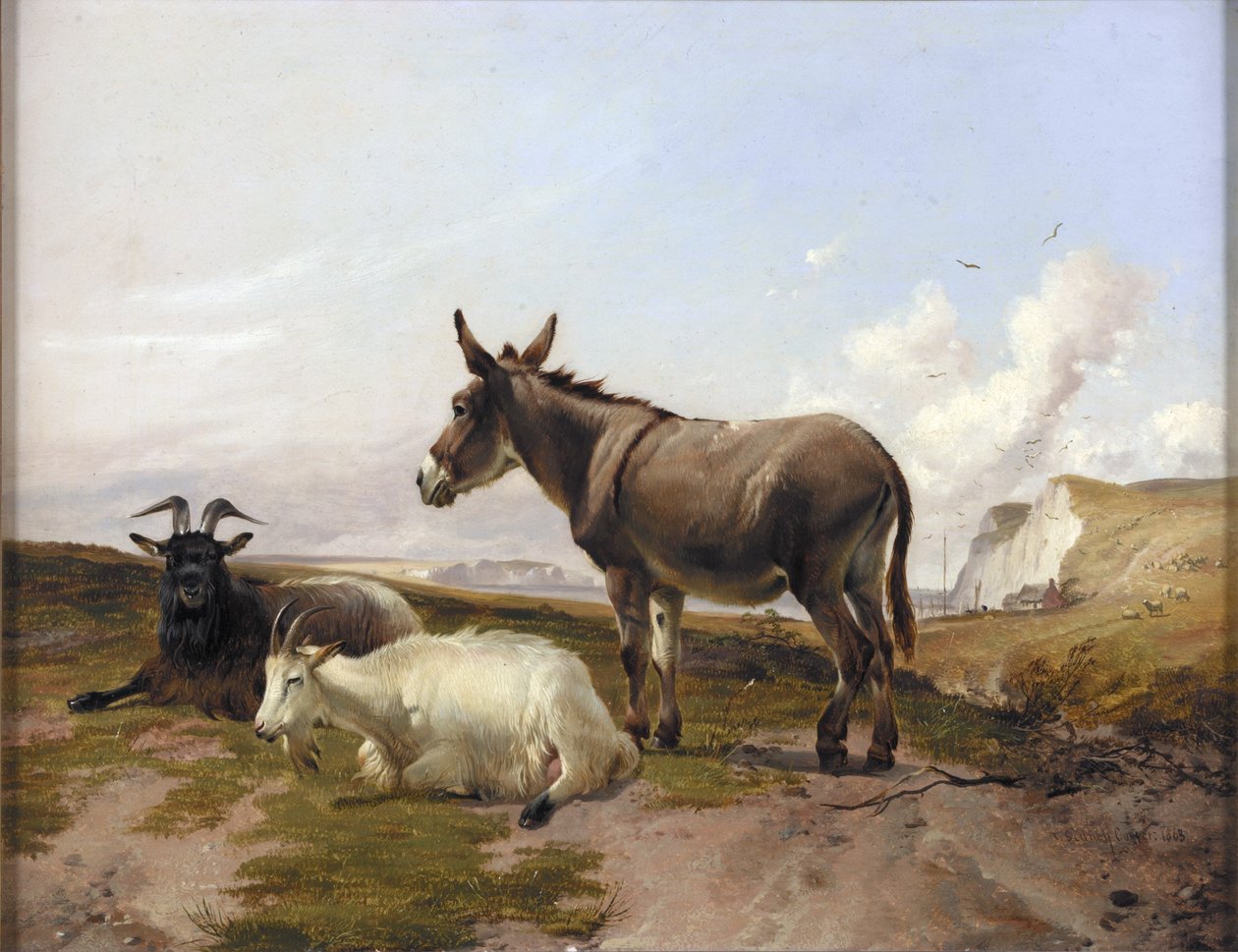 Sulle colline da Thomas Sidney Cooper