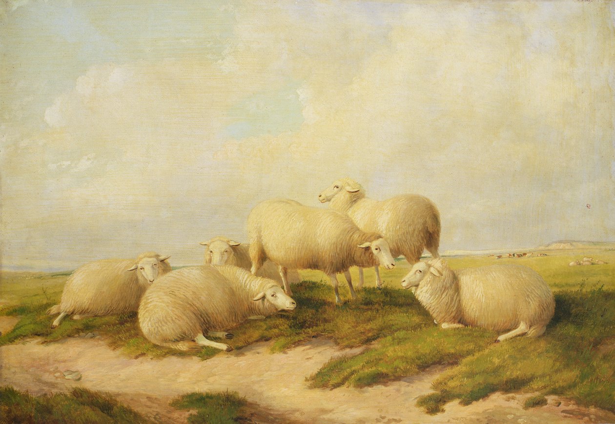 Pecore da Thomas Sidney Cooper