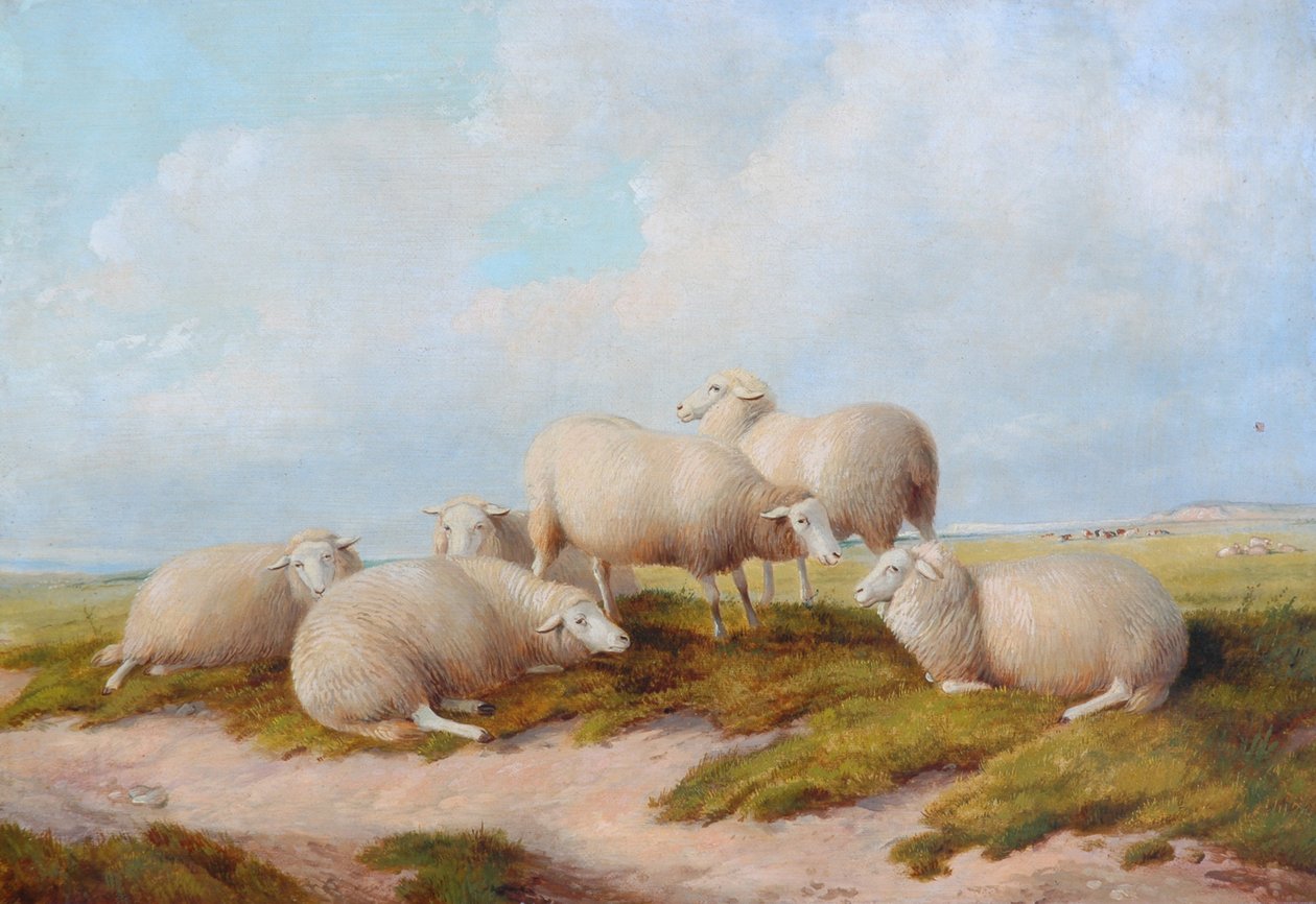 Pecore da Thomas Sidney Cooper