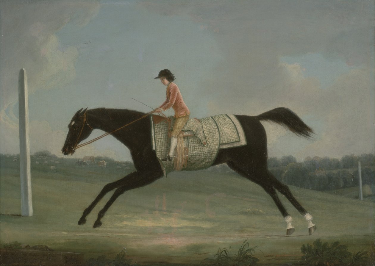 Borlase Cokayne da ragazzo che cavalca Sultana, 1751 da Thomas Smith of Derby
