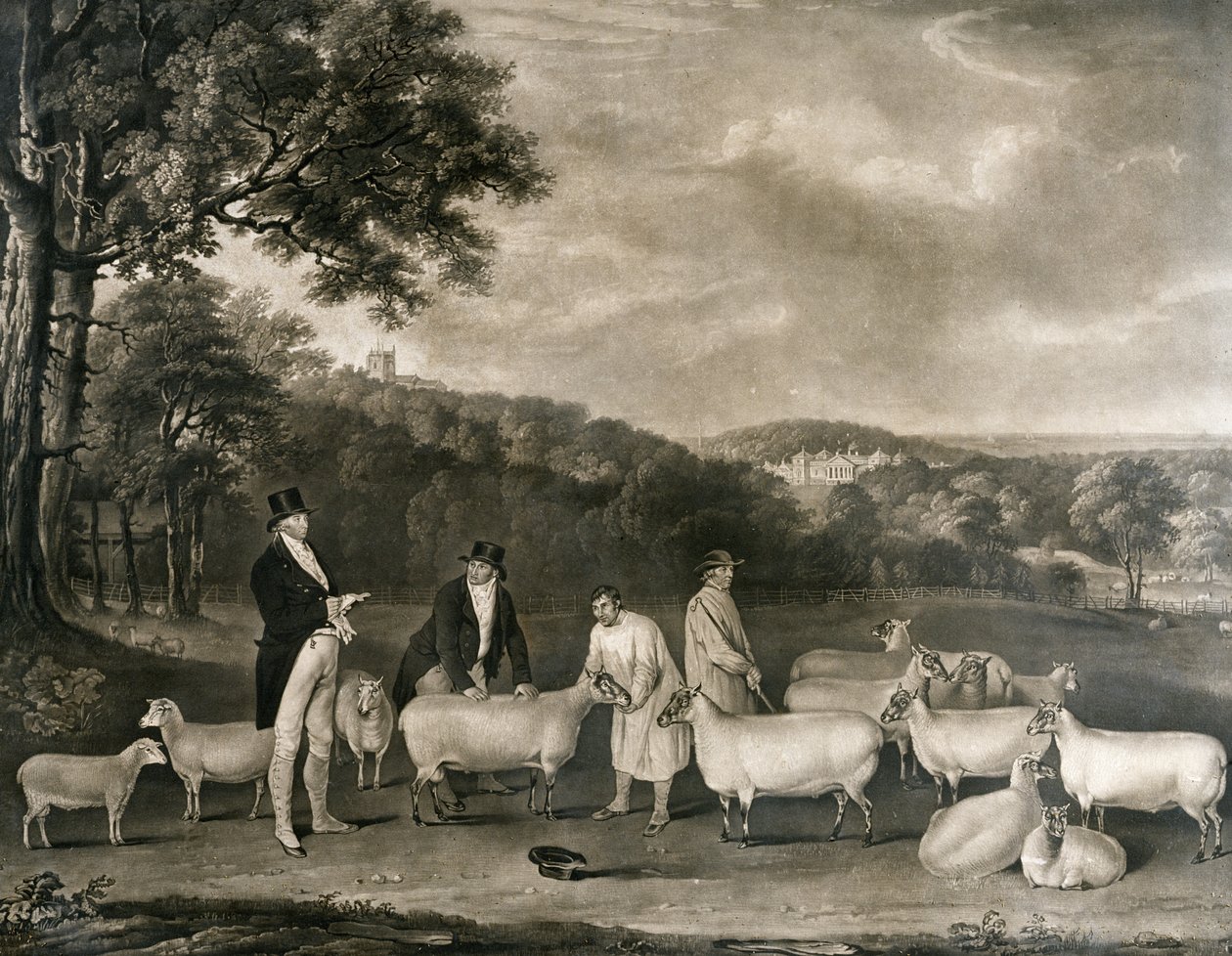 Ritratto di Thomas William Coke, Esq. (1752-1842) che ispeziona alcune delle sue pecore South Down con Mr Walton e i pastori di Holkham, inciso da William Ward (1766-1826), 1808 da Thomas Weaver