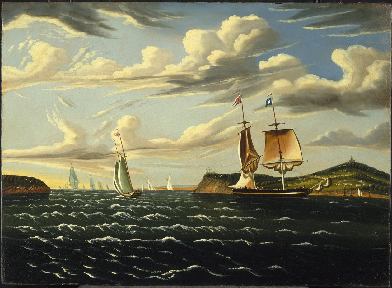 Staten Island e i Narrows da Thomas Chambers