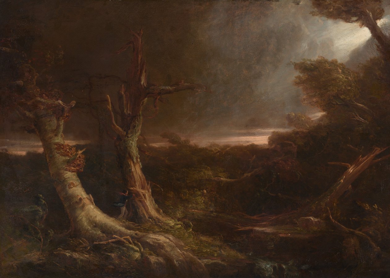 Tornado in una foresta americana da Thomas Cole