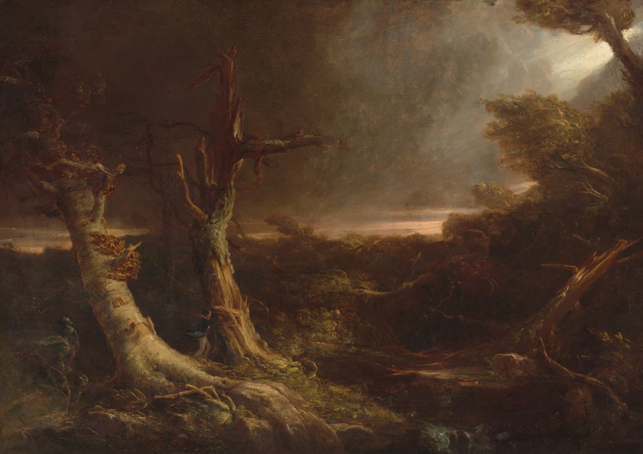 Tornado in una foresta americana da Thomas Cole