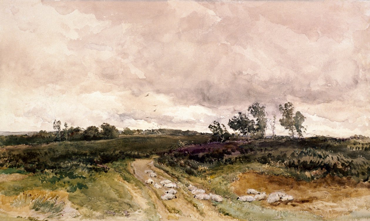 Scena di brughiera, 1878 da Thomas Collier