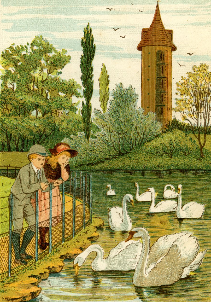 Zoo di Parigi - bambini che guardano i cigni da Thomas Crane