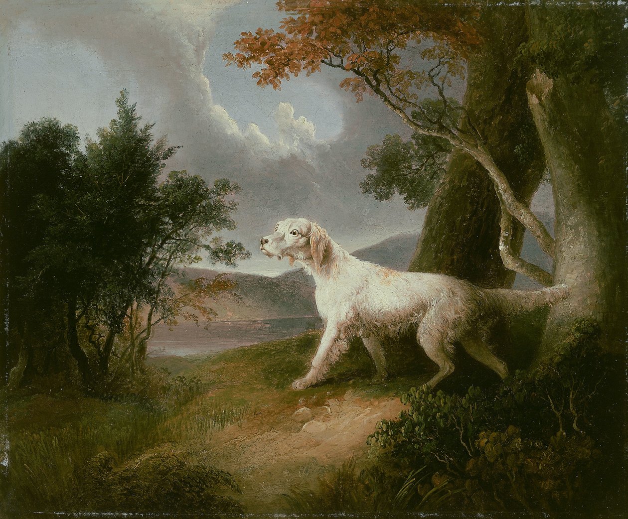 Paesaggio con Cane da Thomas Doughty