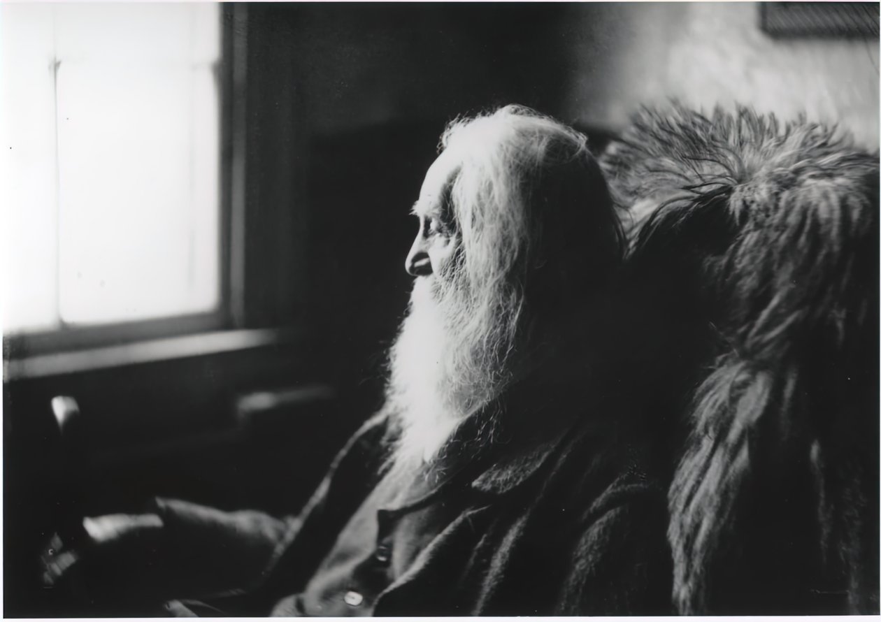 Walt Whitman a Camden, N.J. da Thomas Eakins