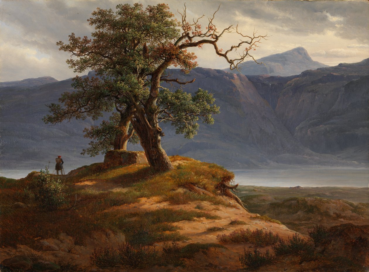 Paesaggio con viaggiatore da Thomas Fearnley