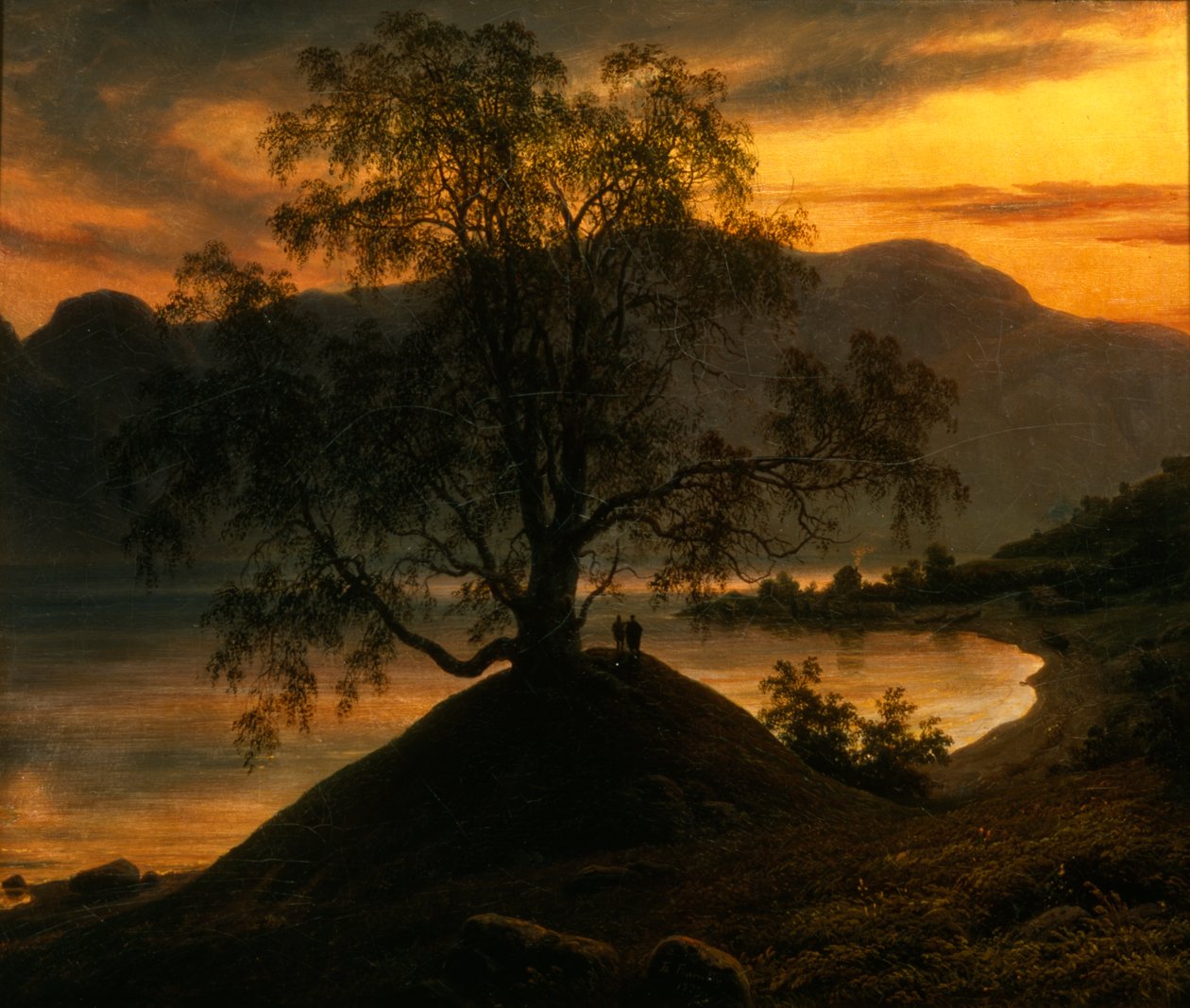 Slindrebirken da Thomas Fearnley