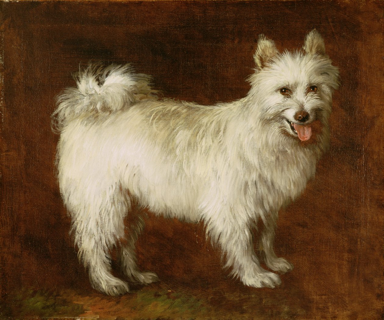 Cane Spitz, c.1760-70 da Thomas Gainsborough