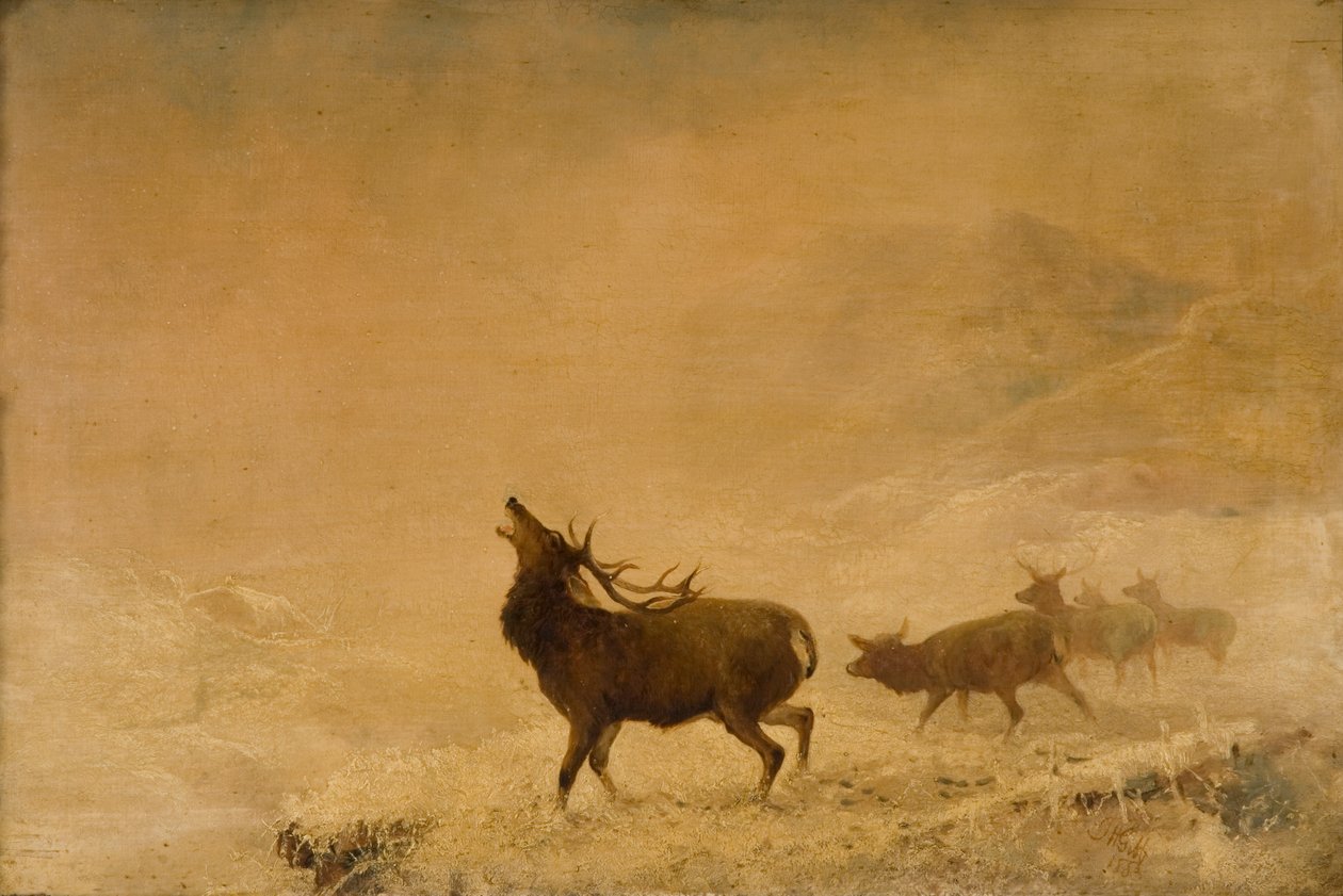 Così lontano, 1883 da Thomas Henry Gibb