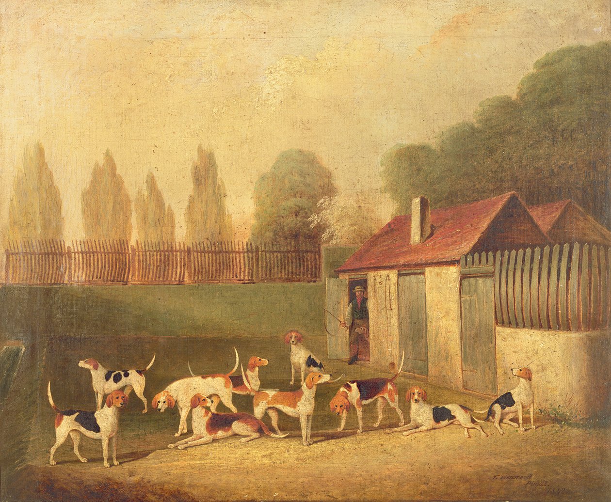 Segugi in un cortile del canile da Thomas Henwood