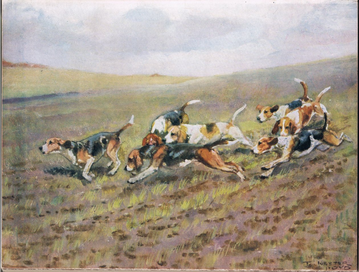 Attraversando i campi, illustrazione da 
