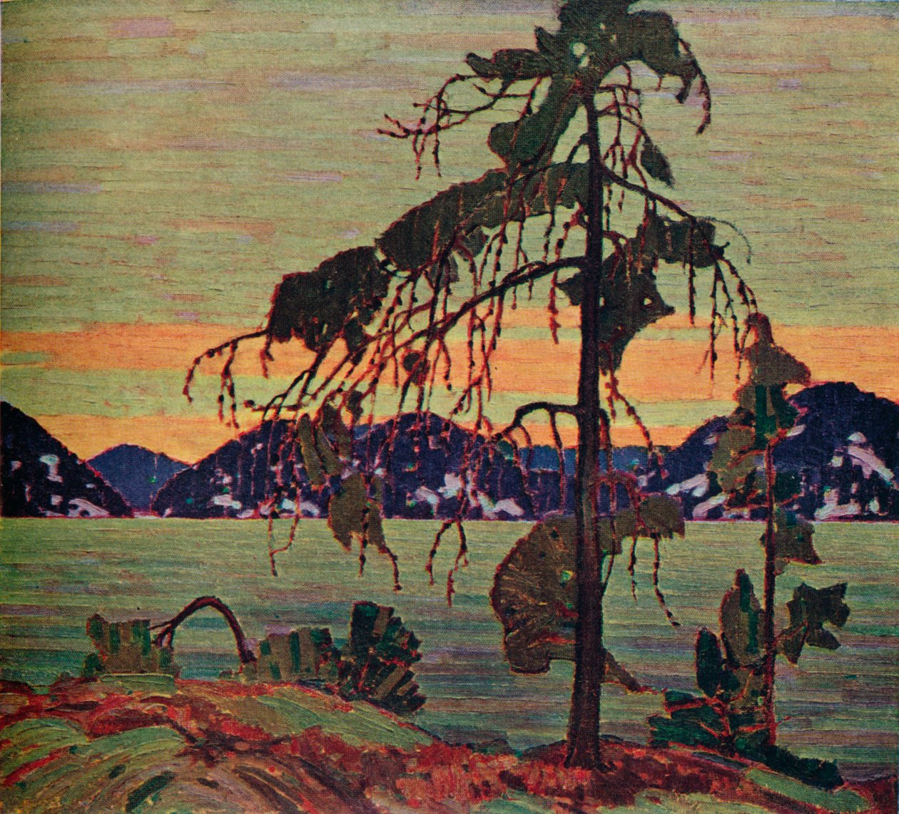 Il pino di Jack, 1917, 1925 da Tom Thomson