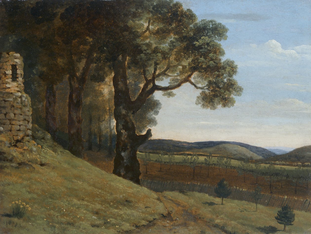 Campo vicino a Pencerrig da Thomas Jones