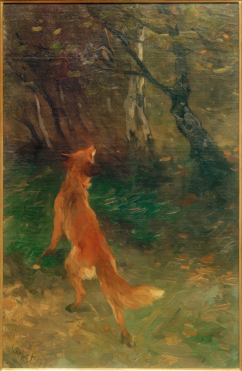 Volpe osserva un uccello da Thomas Ludwig Herbst