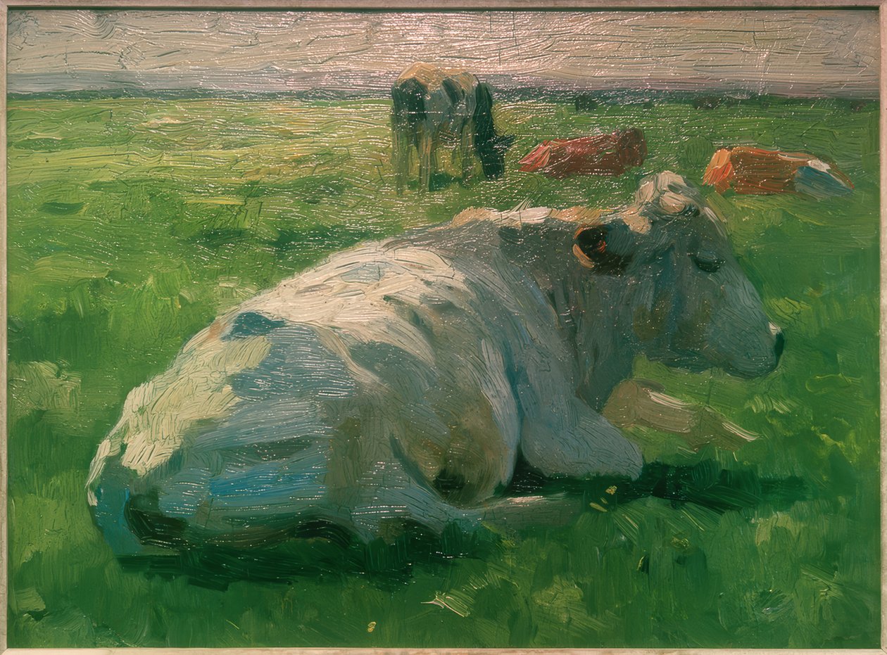 Mucca sdraiata da Thomas Ludwig Herbst