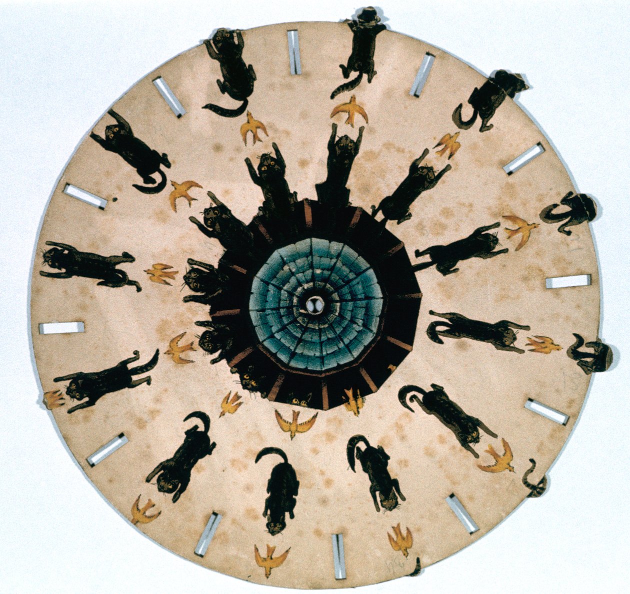 Disco Fantascope, 1833 da Thomas Mann Baynes