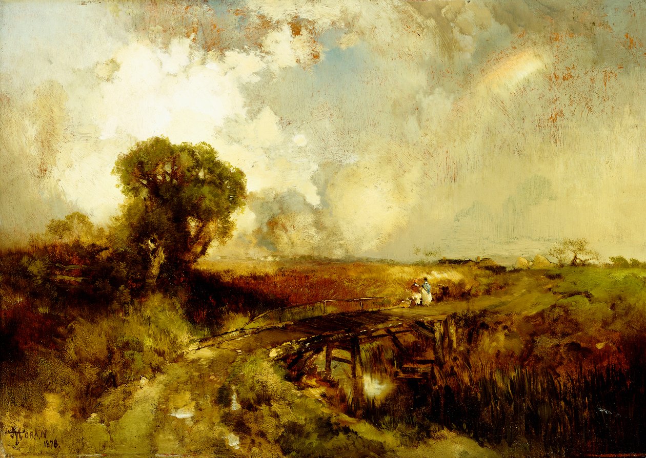 Un acquazzone estivo, 1878 da Thomas Moran