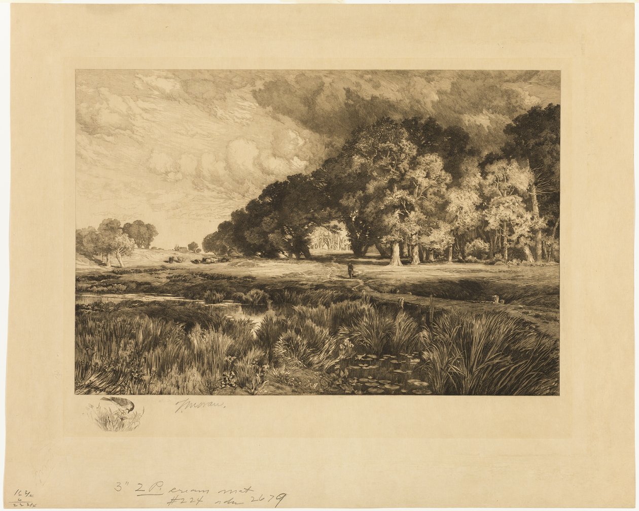 Paesaggio di Long Island da Thomas Moran